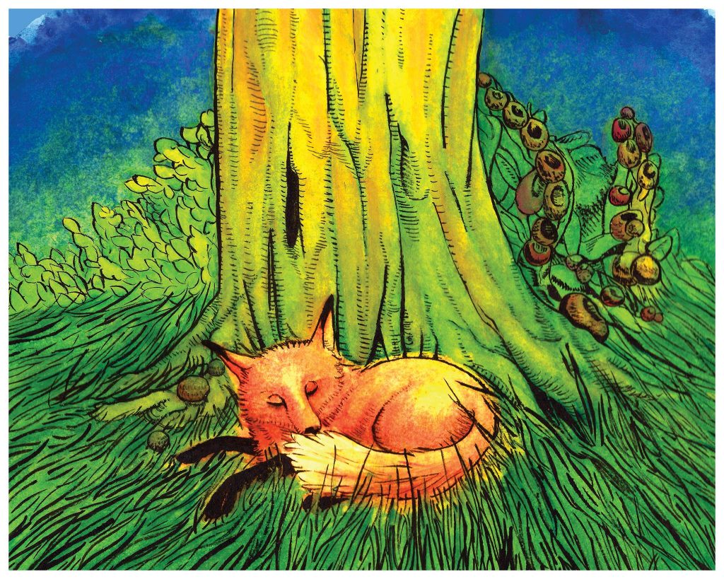 Sleeping Fox (A6)